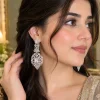 Regal Radiance Crystal Earrings (4)